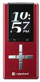 TOSHIBA gigabeatU���꡼�� �ե�å������ץ졼�� 2GB �ޥ륹��å� MEU206(R)