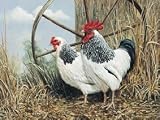 TUFTOP Cutting Board TT00153 Sussex Pair - Large (16' 'x20' ')