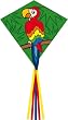 bird kite