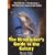 The Rough Guide to "The Hitchhiker's Guide to the Galaxy" (Rough Guide Reference)