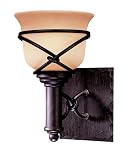 Minka Lavery Lights 5971 1 138 1LT Bathroom Lighting Aspen Bronze Rustic Indoor Lighting 41TnfxQuybL. SL160 Minka Lavery Lights 5971 1 138 1LT Bathroom Lighting Aspen Bronze Rustic Indoor Lighting