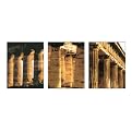 Columns Collection
