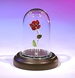 CRYSTAL WORLD "Enchanted Rose"