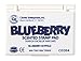 Center Enterprise CE054 Blueberry Scented Stamp Pad, Blue
