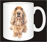 3D RED COCKER SPANIEL Coffee Mug