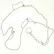 Valentine Day Gift Silver Belly Chain