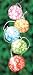 11' Round Lantern Set with White Hibiscus (10 lights)
