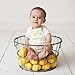 Touched by Nature Unisex Baby Organic Cotton Bodysuits Eggplant, 6-9 Months