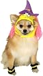 Costumes for Dogs and Cats - Witch Costume for Cats and Dogs Large Dog