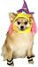 Costumes for Dogs and Cats - Witch Costume for Cats and Dogs Large Dog