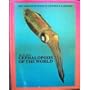Cephalopods of the World: Squids, Cuttlefishes, Octopuses, and Allies