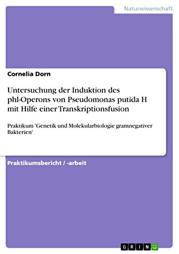 Untersuchung der Induktion des phl-Operons von Pseudomonas putida H mit Hilfe einer Transkriptionsfusion: Praktikum 'Genetik und Molekularbiologie gramnegativer Bakterien' (German Edition)