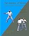 The Anatomy Of Motion: Combat Applications of Traditional Karate Kata