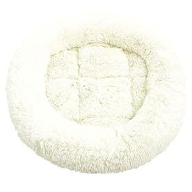 40 WINKS Kitten Sleeper Cream 14inch