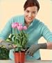 Arthritis Gloves - Medium - 1 pair