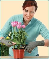 IMAK Arthritis Gloves The ... IMAK Arthritis Gloves The ...