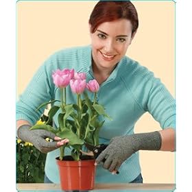 Arthritis Gloves - Medium - 1 pair