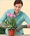 Arthritis Gloves - Medium - 1 pair