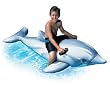Intex Dolphin Ride-On Inflatable