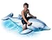Dolphin Ride On