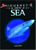 Journey Under the Sea