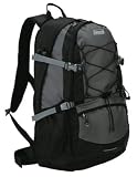 Coleman(�R�[���}��) �u���[�Y40 �O���[ CBB738WGA