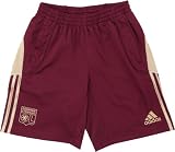 adidas OL Trg Sho - Short entrainement football homme - Bordeaux/Or