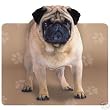 Fawn Pug Dog Computer Mouse Pad Mat