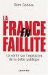 La France en faillite : La v�rit� sur l'explosion de la dette publique