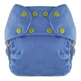 Swaddlebees Econappi One-Size Pocket Diaper