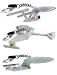 Star Trek Collectibles & Gifts