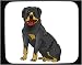 Mouse Pad with dog, vicious, rottweiler, pet