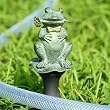 Romeo Frog Hose Guard