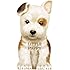 Little Puppy (Mini Look at Me Books)