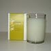 Arbonne Ginger Citrus Glass Candle