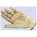 chiromancy hand statue cheiromancy palmistry sculpture (The Digital Angel Decor)