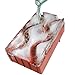 Party Ice Luge