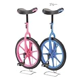 エバニュー(Evernew) 一輪車(ノーパンク) 16 KD136