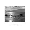 Scripps Pier Poster - 15.8x20.7"