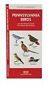 Pennsylvania Birds: An Introduction to Familiar Species (State Nature Guides)