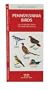 Pennsylvania Birds: An Introduction to Familiar Species (State Nature Guides)