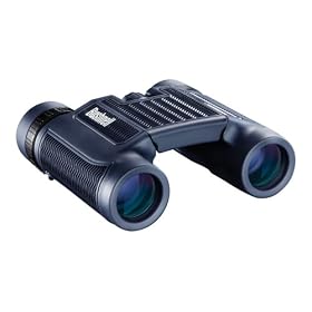 Bushnell H2O Waterproof/Fogproof Compact Roof Prism Binocular, Black, 10 x 25-mm: Sports &amp; Outdoors