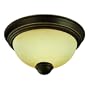 Westinghouse 64265 St Augustine Energy Star Two- Light Flush Mount Fixture, Oil Rubbed Bronze with Amber Mist Globe