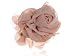 Hand Made Cream Beige Chiffon Flower Rose Rosette Accent Alligator Hair Clip
