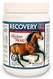 Recovery EQ (2.2 lb.)