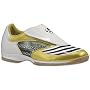adidas Men's F30.8 IN Soccer Shoe