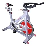 Pro Indoor Cycling Bike