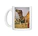 Asia, India, Pushkar Photo Mugs