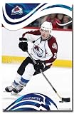 Phoenix Coyotes 2008 Nhl Team Logo Hockey Poster 4676