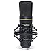 Marantz Professional MPM-2000U | Studio Condenser USB Microphone with Shock Mount, USB Cable & Carry Case (USB Out)
